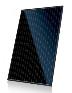 Canadian solar CS6P Mono-Allblack 275 watt-piek