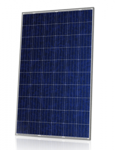 Canadian solar CS6P Poly 265 watt-piek